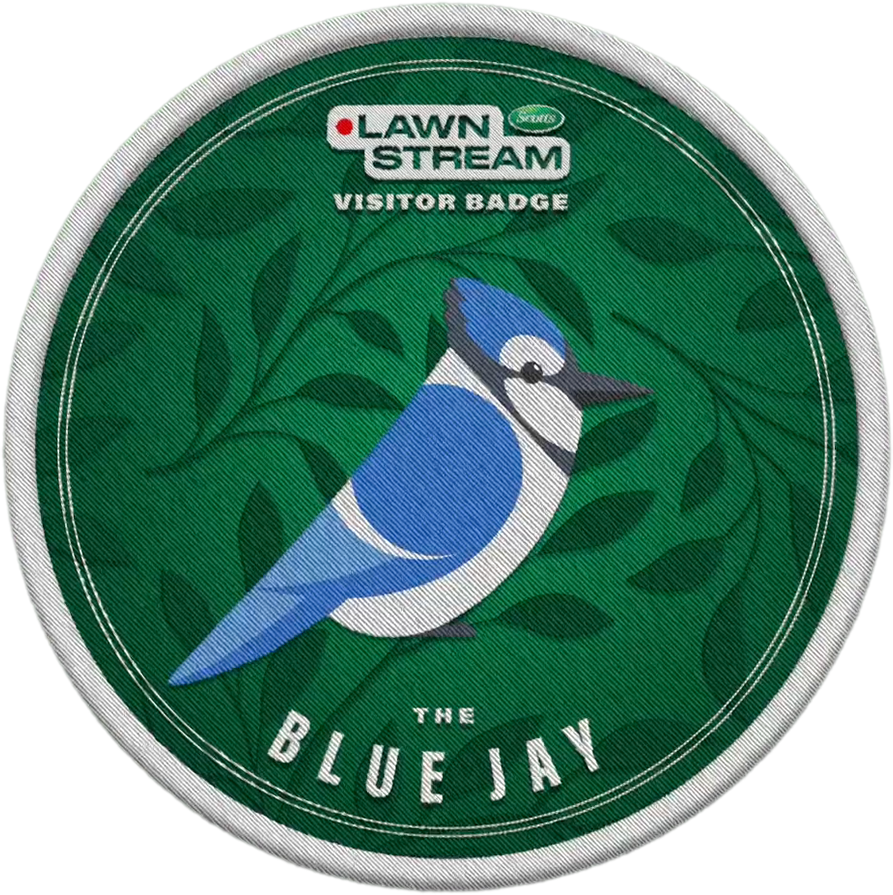 BLUE JAY