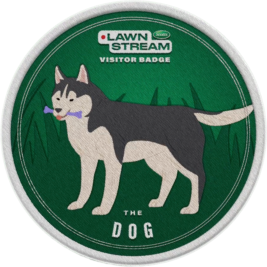 DOG