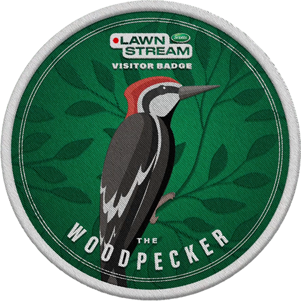 WOODPECKER
